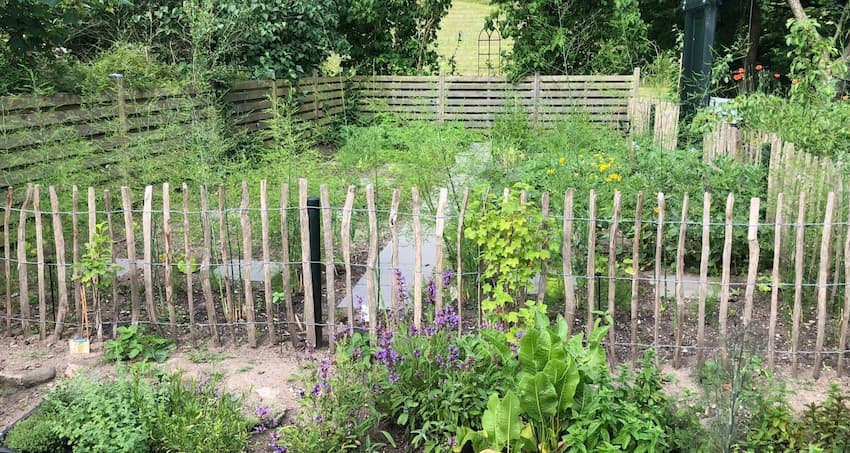 Sådan får du mest ud af fødevarechecken